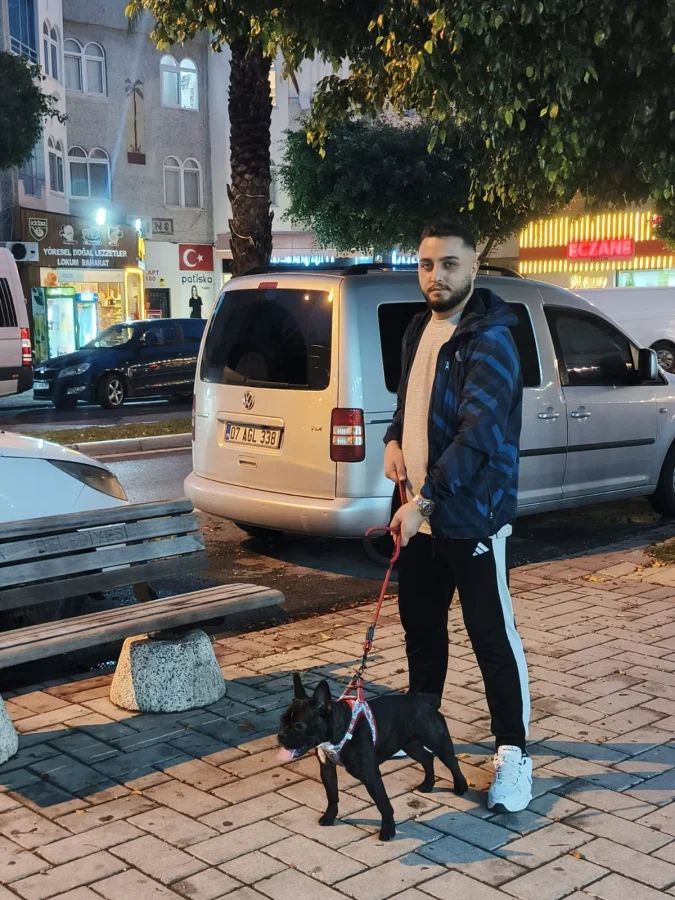 6 aylıktır çok akıllı bir köpektir uysaldır · 6 Aylık · Dişi · French Bulldog · Alanya, Antalya